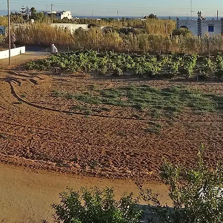 Joanna דירה מיקרי ויגלה