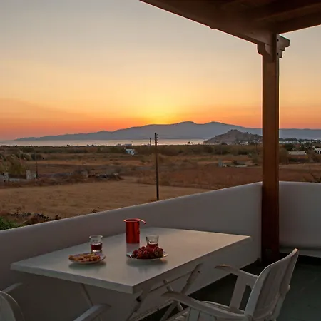 Joanna * מיקרי ויגלה