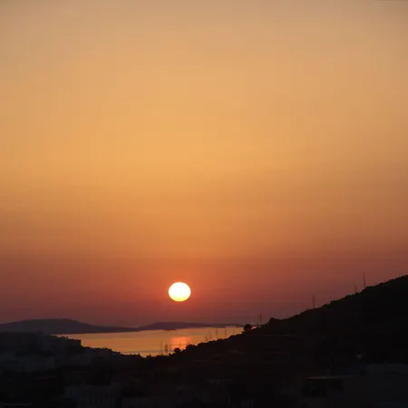 Joanna מיקרי ויגלה