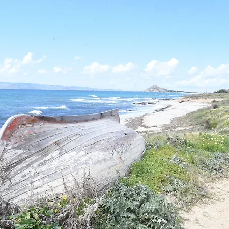 Joanna מיקרי ויגלה