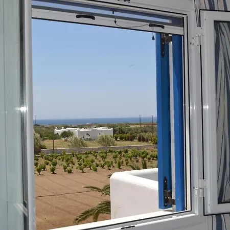 Joanna מיקרי ויגלה