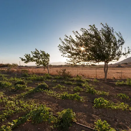 Joanna דירה מיקרי ויגלה