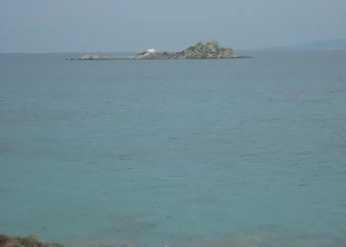 Joanna 米科利维亚