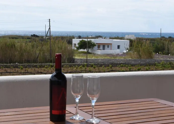 Joanna * 미크리 비글라