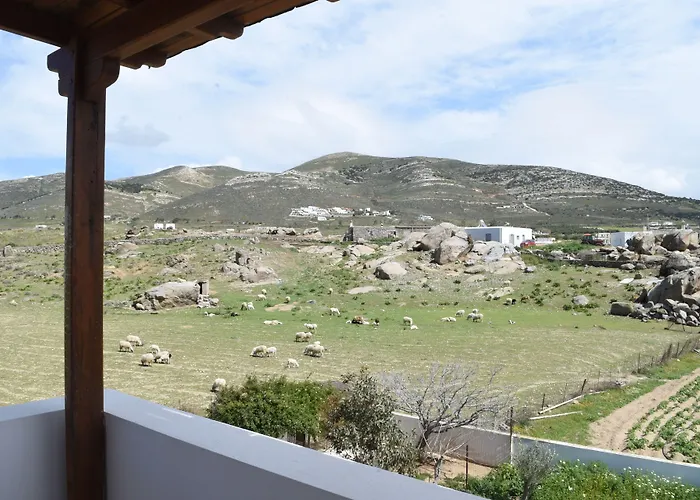 아파트 Joanna 미크리 비글라